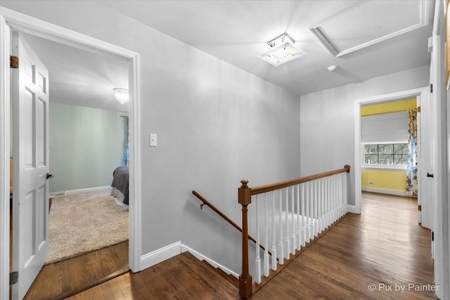 stairs with hardwood / wood-style floors