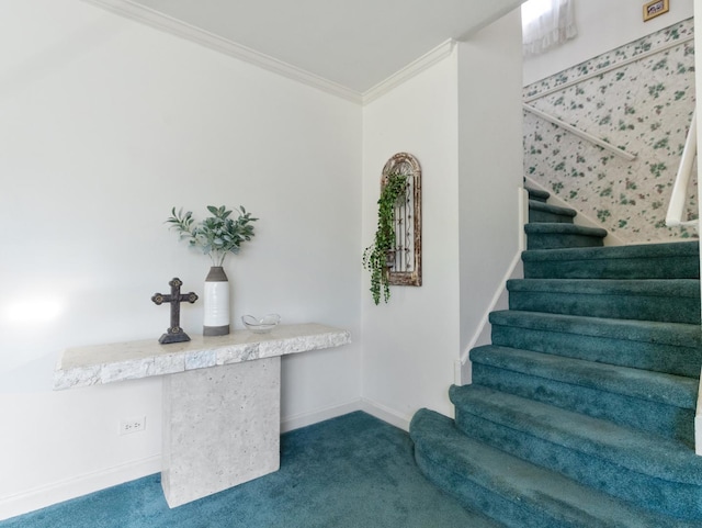 stairs with carpet floors and ornamental molding