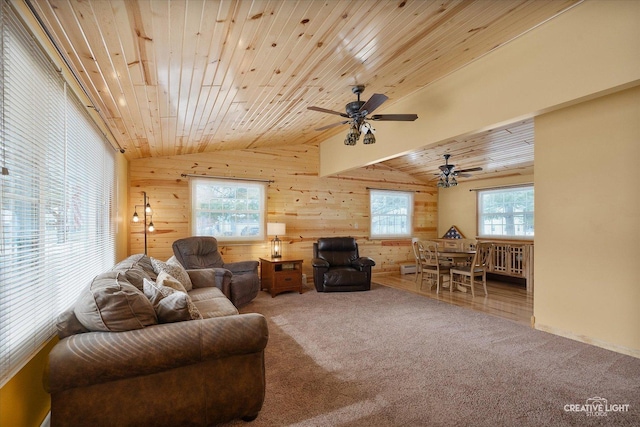 living area with lofted ceiling, carpet floors, wooden ceiling, and wooden walls