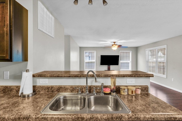 kitchen with dark hardwood / wood-style flooring, sink, and ceiling fan