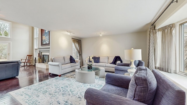 living room with track lighting and dark hardwood / wood-style flooring