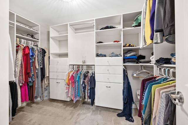 spacious closet featuring carpet