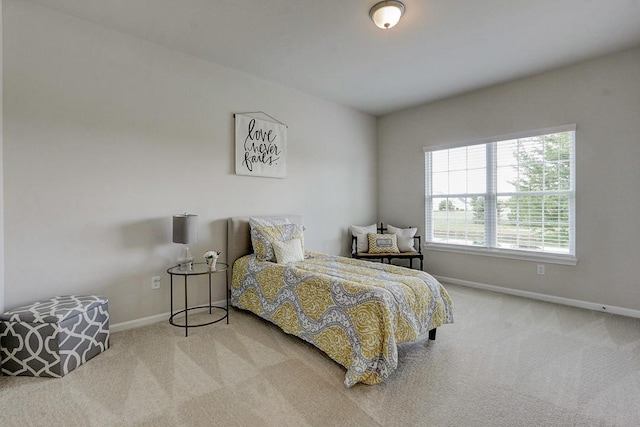 bedroom with carpet flooring