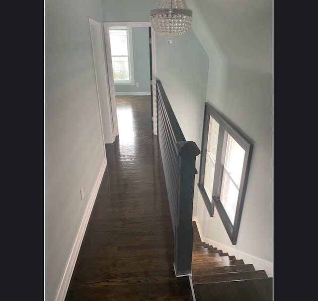 hallway with dark hardwood / wood-style flooring and a chandelier