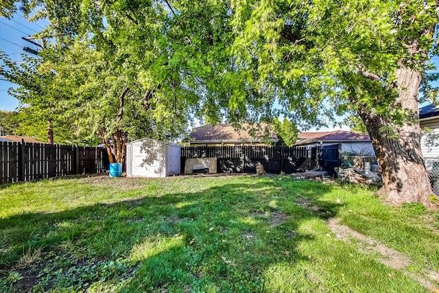 view of yard with a storage shed