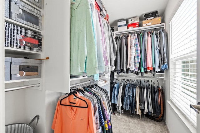 spacious closet featuring carpet