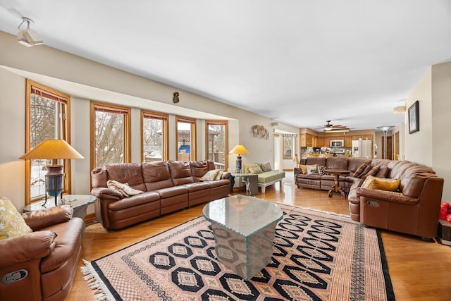 living room featuring light hardwood / wood-style floors