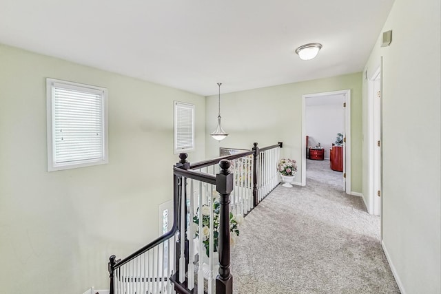 8431 Nielsen Dr, Tinley Park, IL 60487 - hall with light carpet