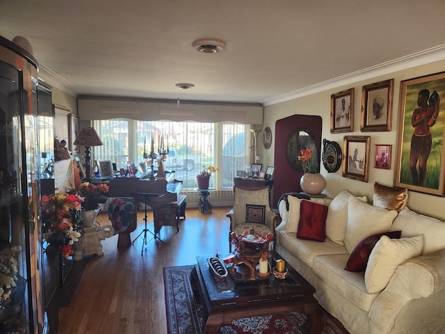 living room with crown molding and wood-type flooring