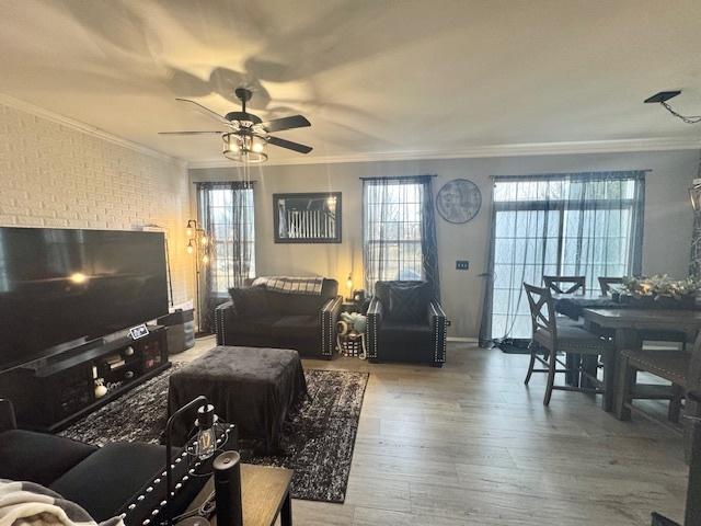 living room with ceiling fan, ornamental molding, hardwood / wood-style floors, and a wealth of natural light