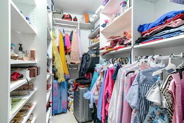 view of spacious closet