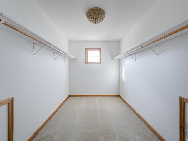 spacious closet featuring light colored carpet