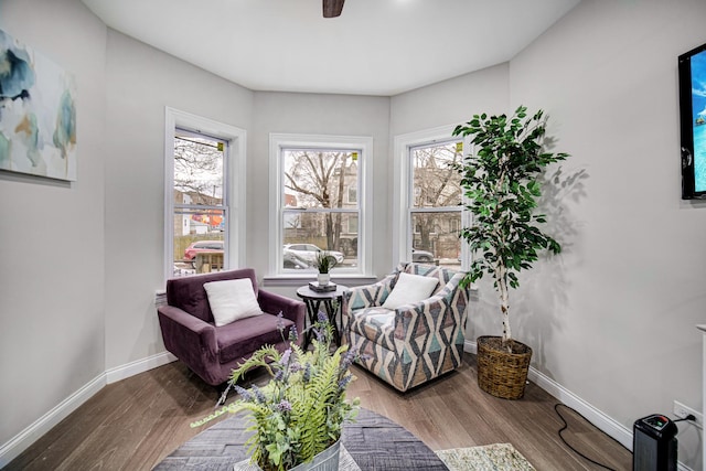 sitting room featuring hardwood / wood-style flooring