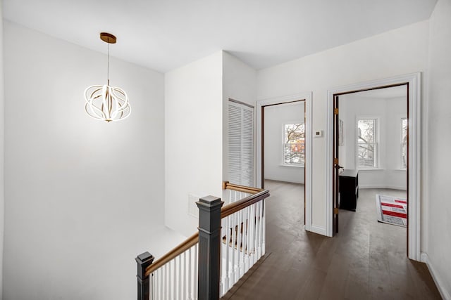 hall featuring a notable chandelier and dark hardwood / wood-style flooring