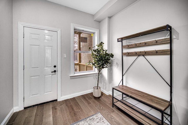 entrance foyer with wood-type flooring