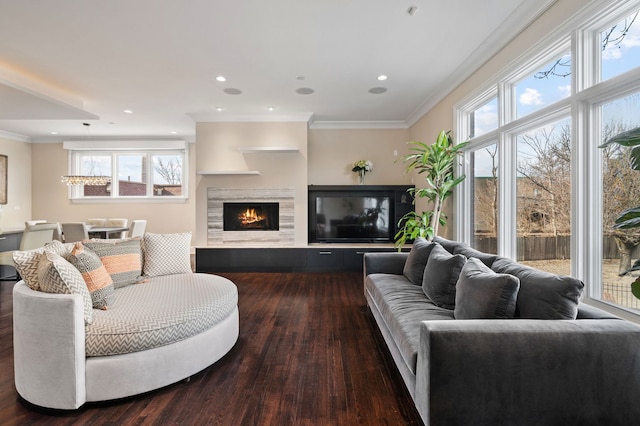 living room with ornamental molding and dark hardwood / wood-style flooring