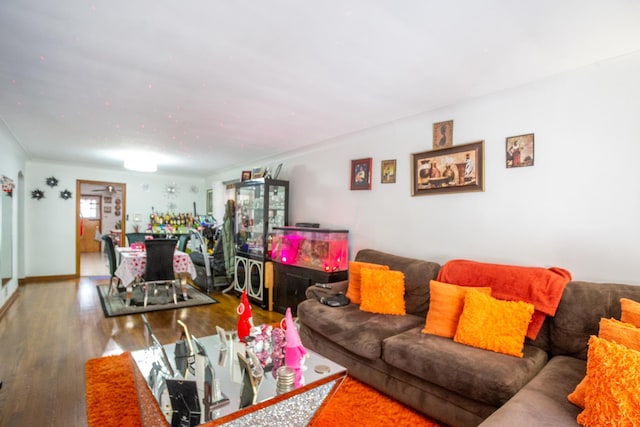 living room with hardwood / wood-style flooring