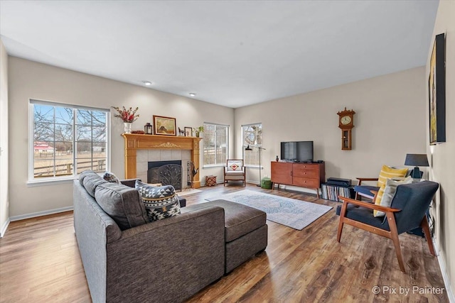 living room featuring a fireplace and light wood-type flooring