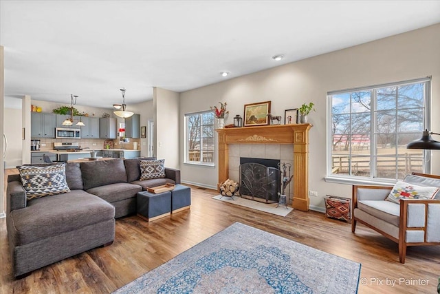 living room featuring a fireplace and light hardwood / wood-style flooring