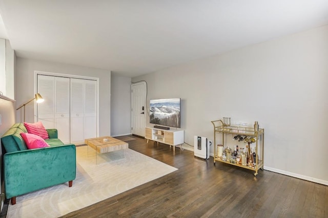 living room featuring dark wood-type flooring