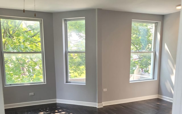 doorway to outside with dark hardwood / wood-style flooring and plenty of natural light