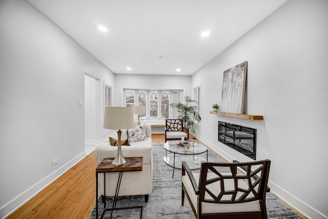 living room with hardwood / wood-style floors