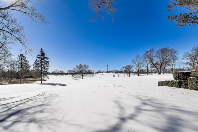 view of snowy yard