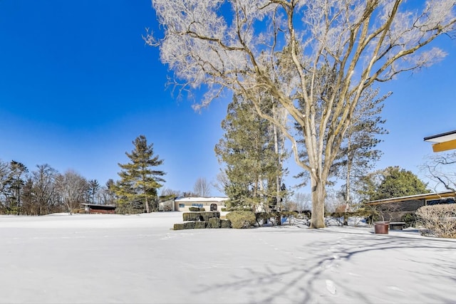 view of snowy yard