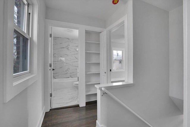 walk in closet with dark wood-type flooring