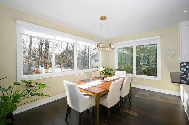 dining space featuring dark hardwood / wood-style floors