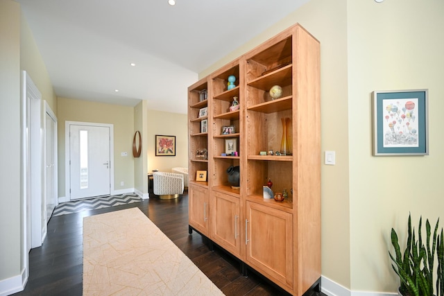 hall featuring dark wood-type flooring