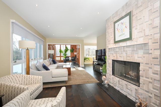 living room featuring wood-type flooring and a stone fireplace