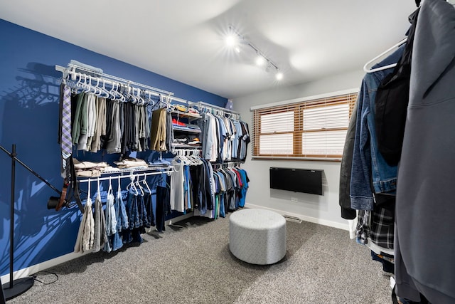 spacious closet with carpet