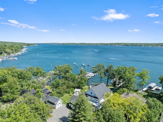 bird's eye view with a water view