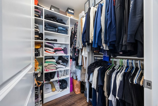 spacious closet featuring dark hardwood / wood-style floors