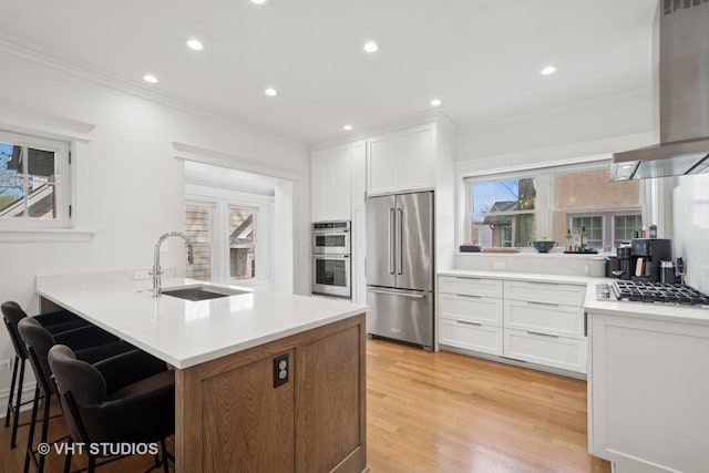 2645 Prairie Ave, Evanston, IL 60201 - kitchen featuring stainless steel appliances, island range hood, ornamental molding, and a sink