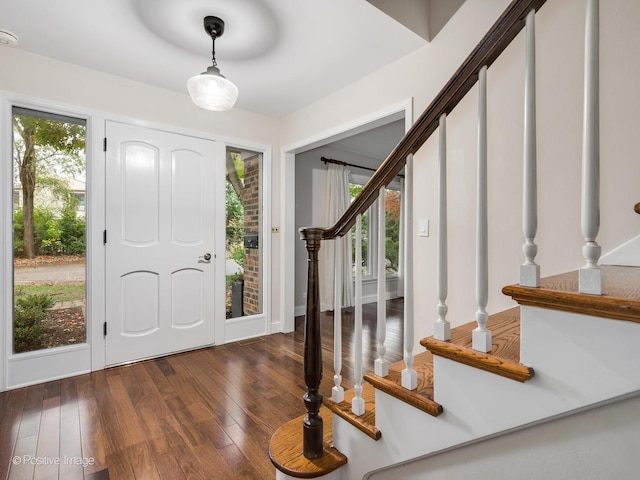 foyer featuring plenty of natural light and dark hardwood / wood-style flooring