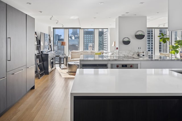 kitchen featuring a wealth of natural light, light hardwood / wood-style floors, rail lighting, and gray cabinets