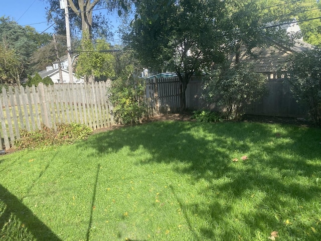 view of yard with a fenced backyard