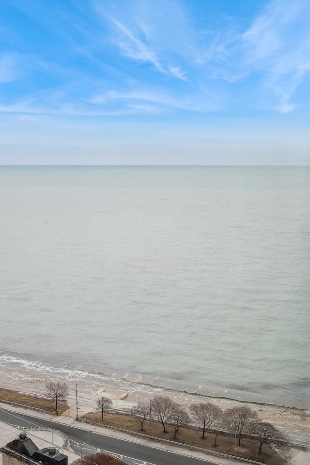 property view of water with a beach view