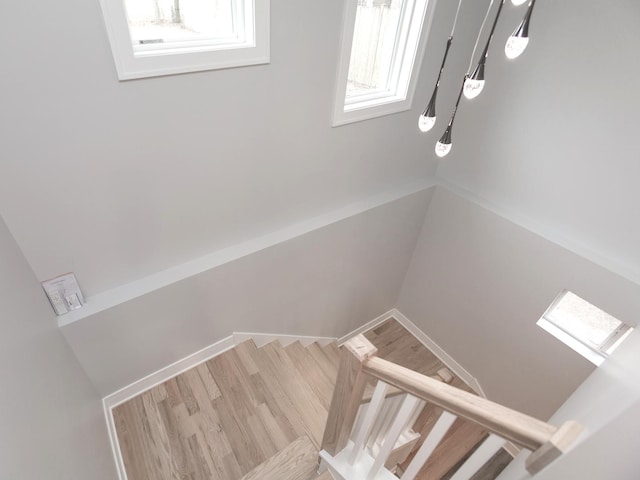 6310 Hilly Way, Cary, IL 60013 - staircase featuring wood finished floors