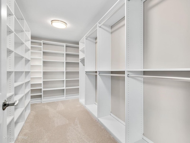 spacious closet with carpet floors