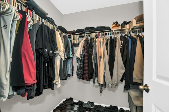 view of walk in closet