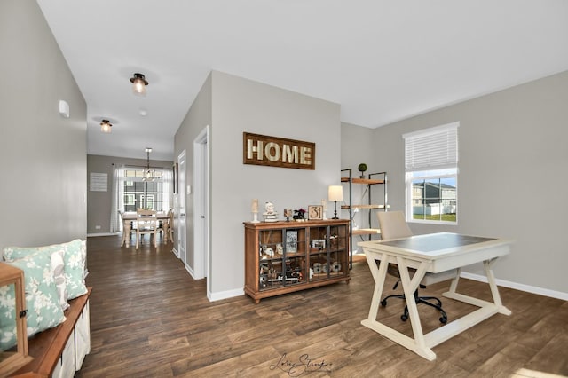 office space featuring dark hardwood / wood-style flooring