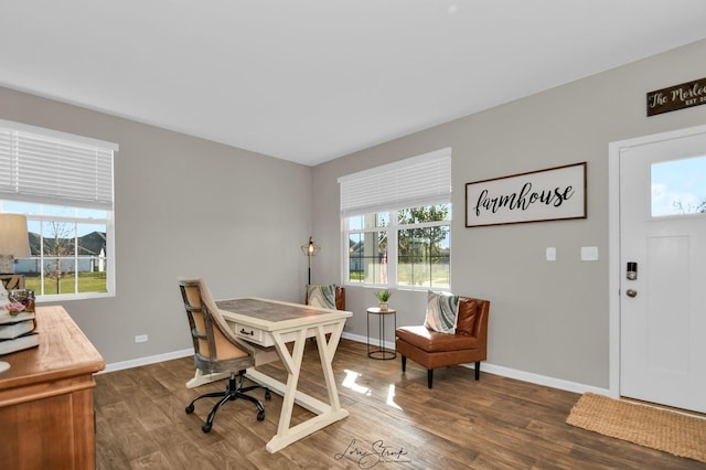 office space featuring dark wood-type flooring