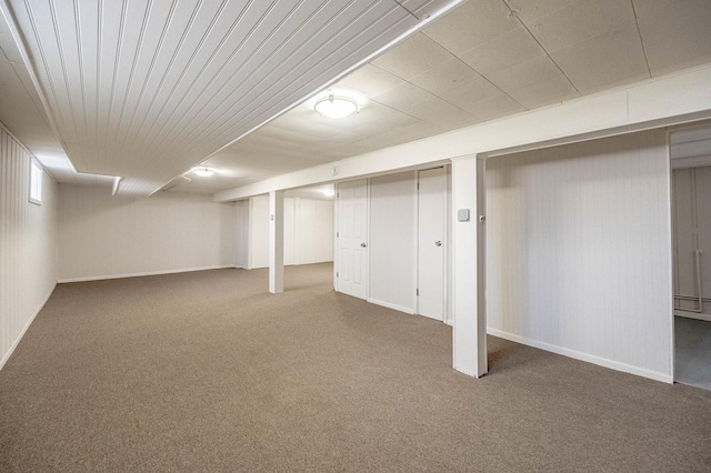 basement featuring carpet