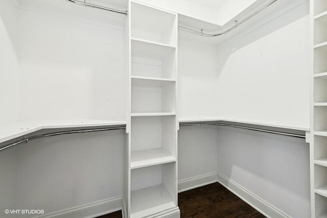 walk in closet with dark hardwood / wood-style floors