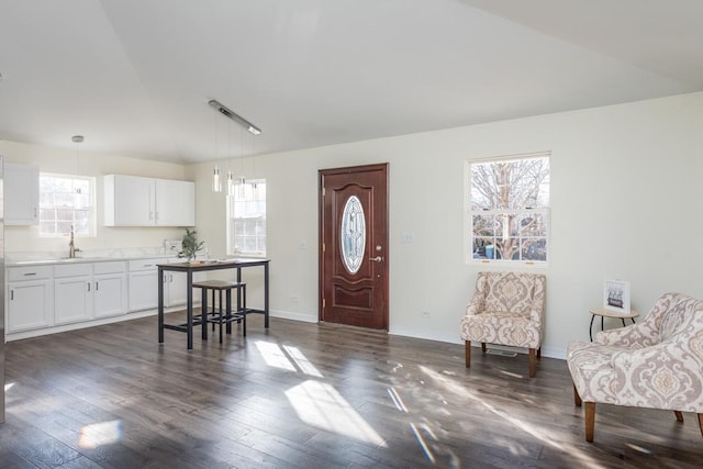 foyer featuring vaulted ceiling, dark hardwood / wood-style floors, and sink