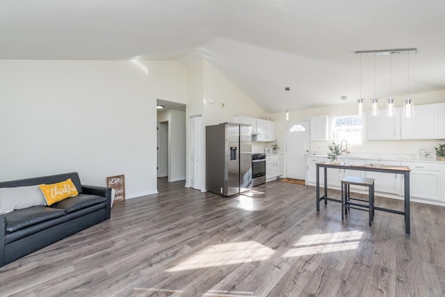 living room featuring high vaulted ceiling and light hardwood / wood-style flooring