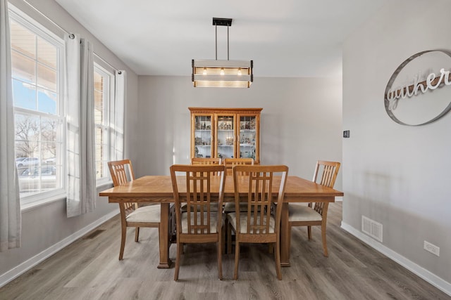 dining room featuring wood-type flooring